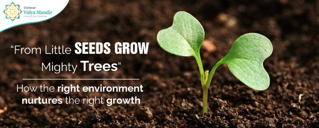 “From Little Seeds Grow Mighty Trees” How the right environment nurtures the right growth